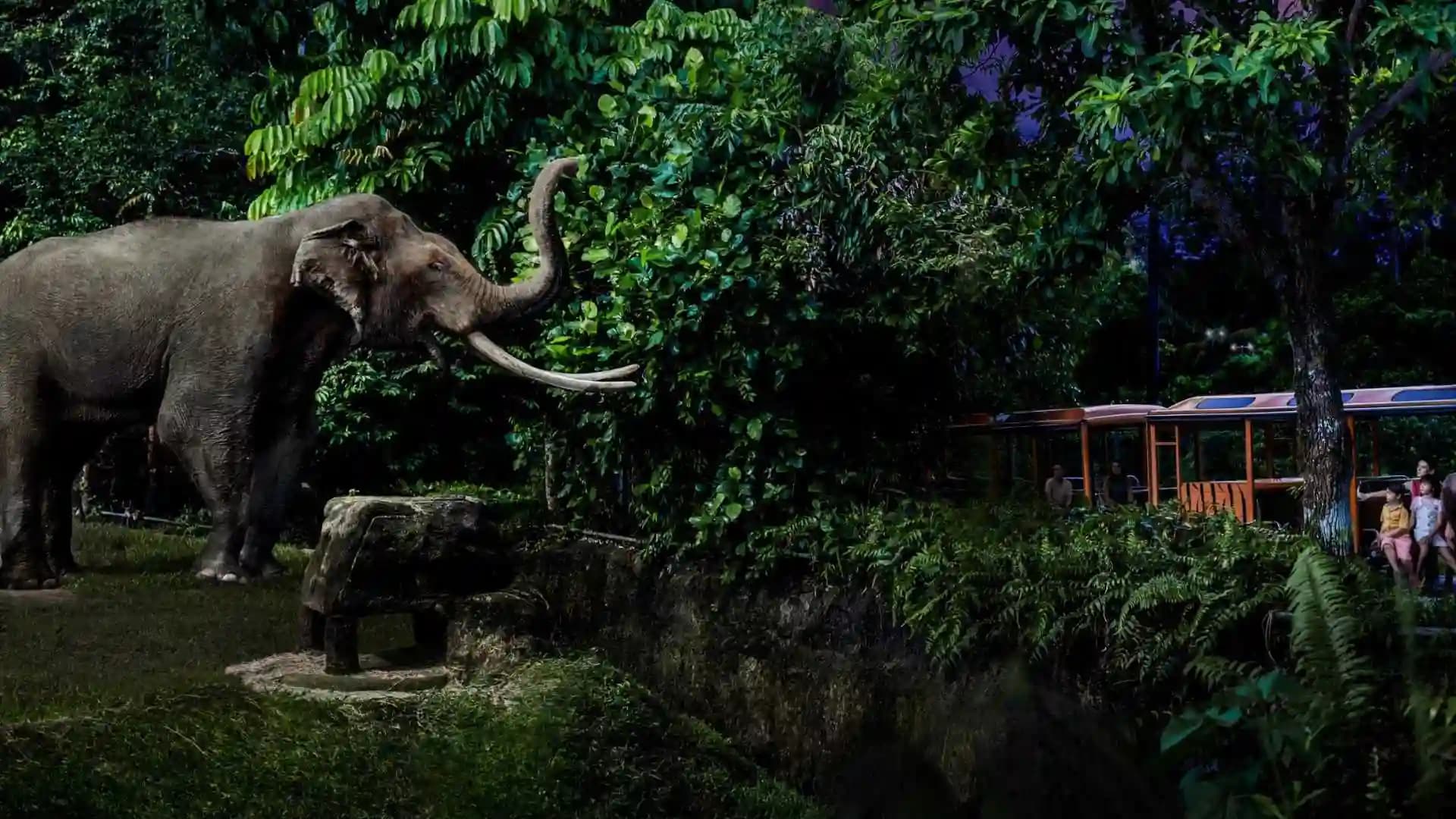 Night Safari Night Zoo