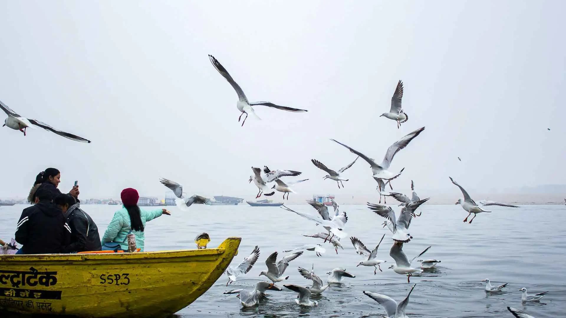 Varanasi Boat Ride